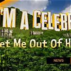 bet on i'm a celebrity